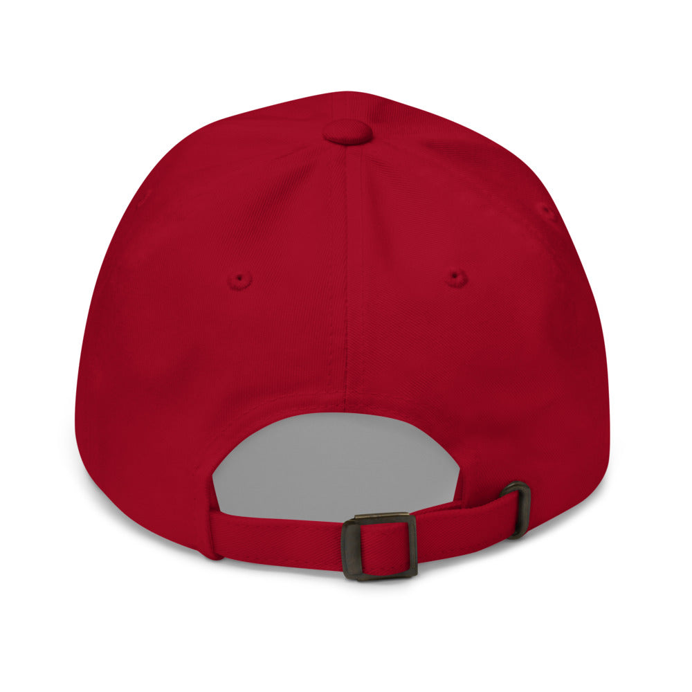 THE FLASH Logo Embroidered Dad Hat