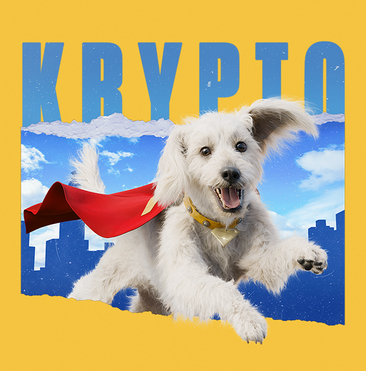 TAKE FLIGHT WITH KRYPTO