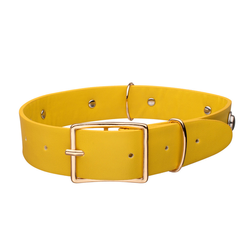 SUPERGIRL (2026 Movie) Krypto Replica Collectible Choker
