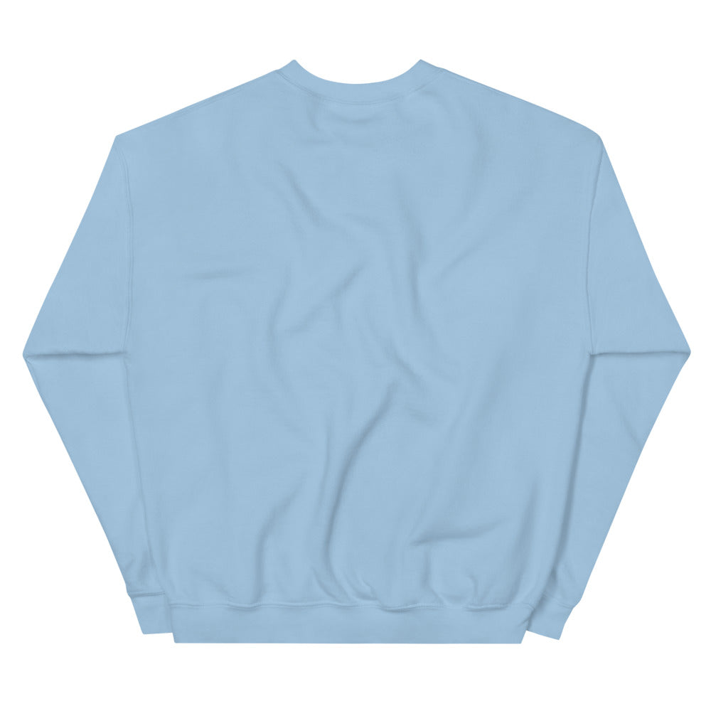 NIGHTWING Discowing Crewneck Sweatshirt