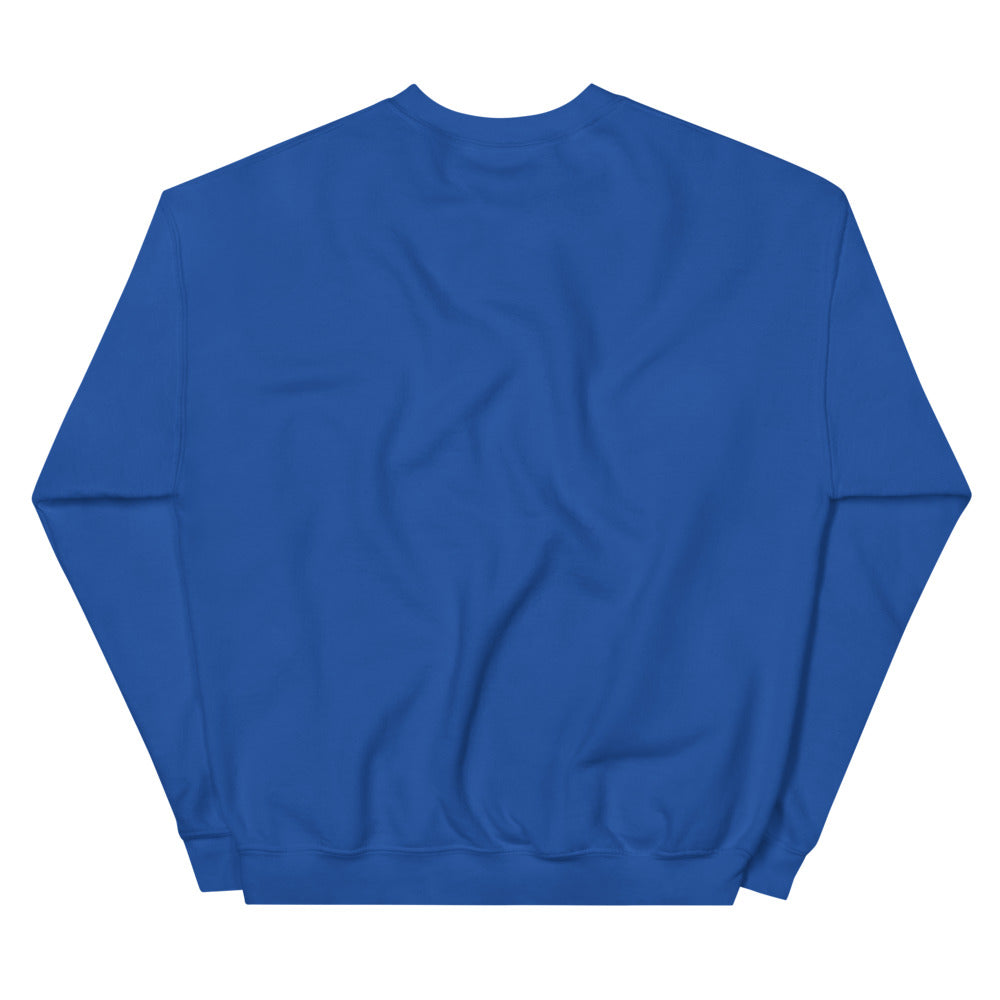 NIGHTWING Discowing Crewneck Sweatshirt