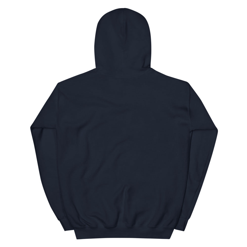 NIGHTWING Logo Hoodie