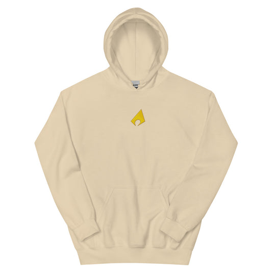 AQUAMAN Logo Embroidered Hoodie
