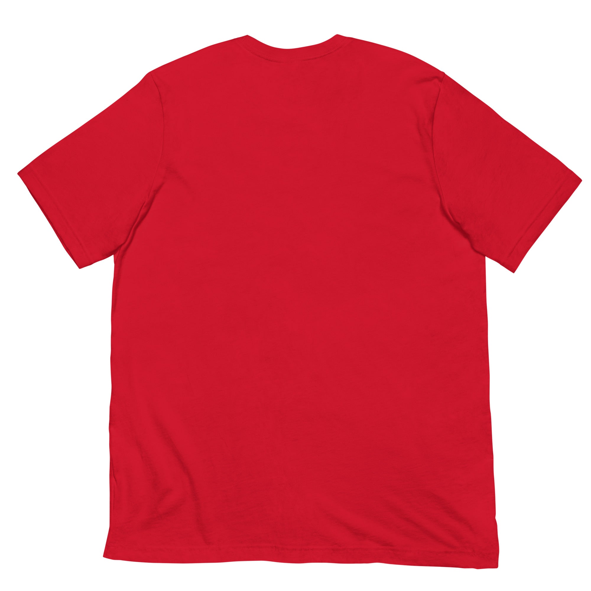 THE FLASH T-shirt Fastest Man Alive – DC Shop